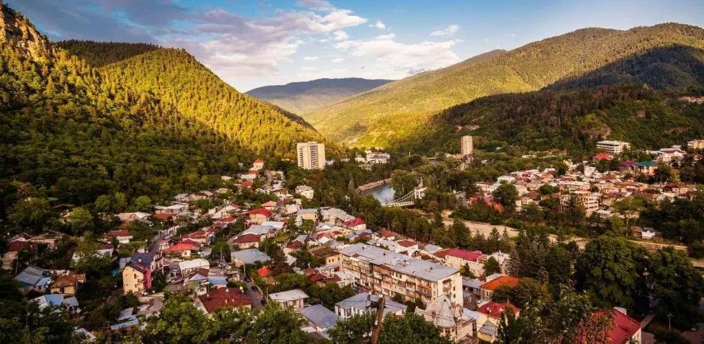 Боржоми: apartament Ninati