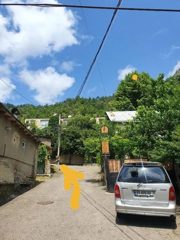 Боржоми: Nari Apartment