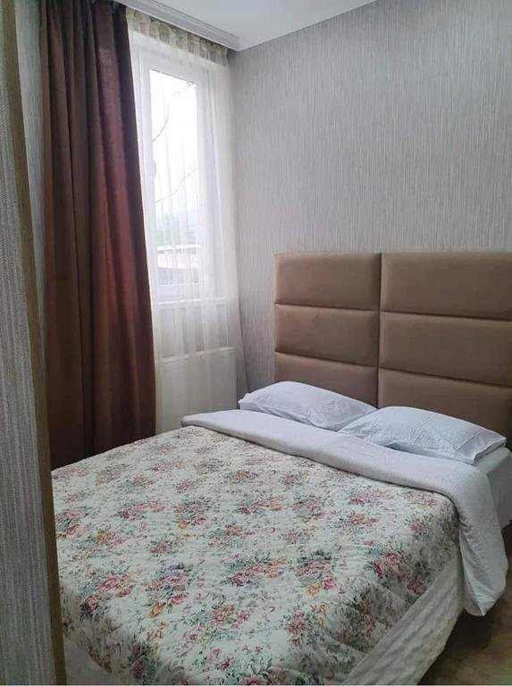 Боржоми: Nari Apartment