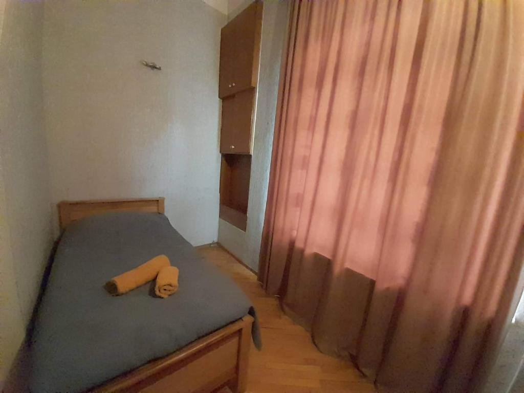 Боржоми: Apartament in the center of Borjomi