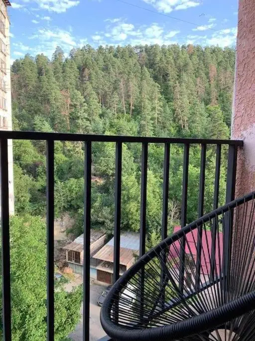 Боржоми: Cozy apartment in Borjomi with beautiful view