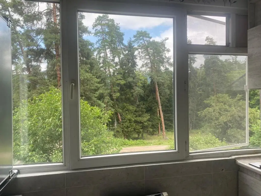 Боржоми: Lovely Apartment In the Forest