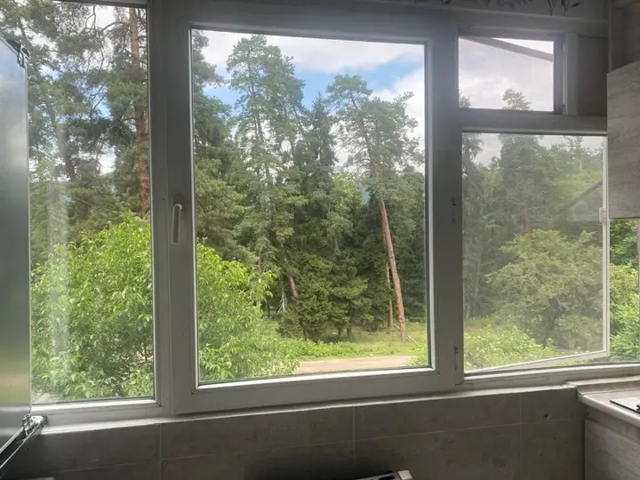 Боржоми: Lovely Apartment In the Forest
