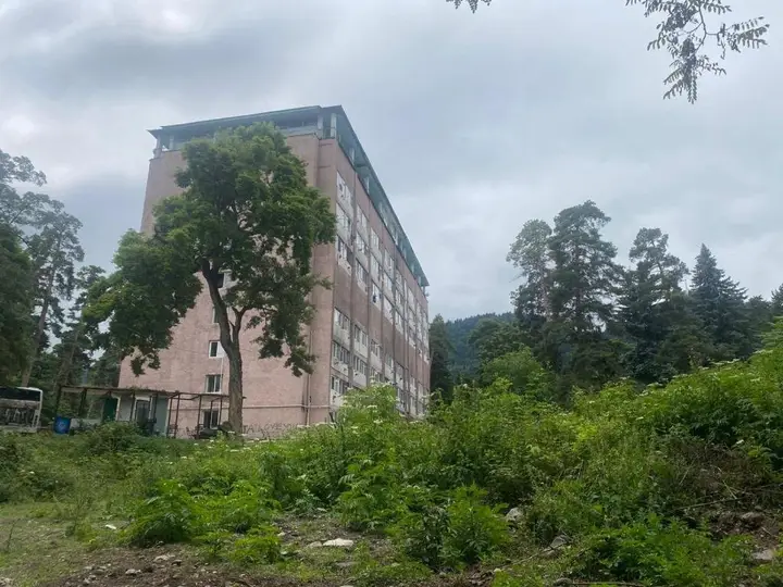 Боржоми: Lovely Apartment In the Forest