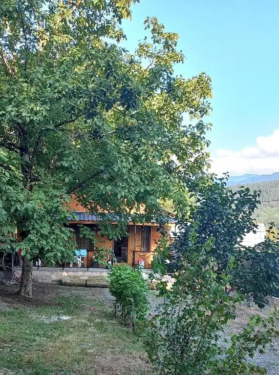 Боржоми: Borjomi Hill