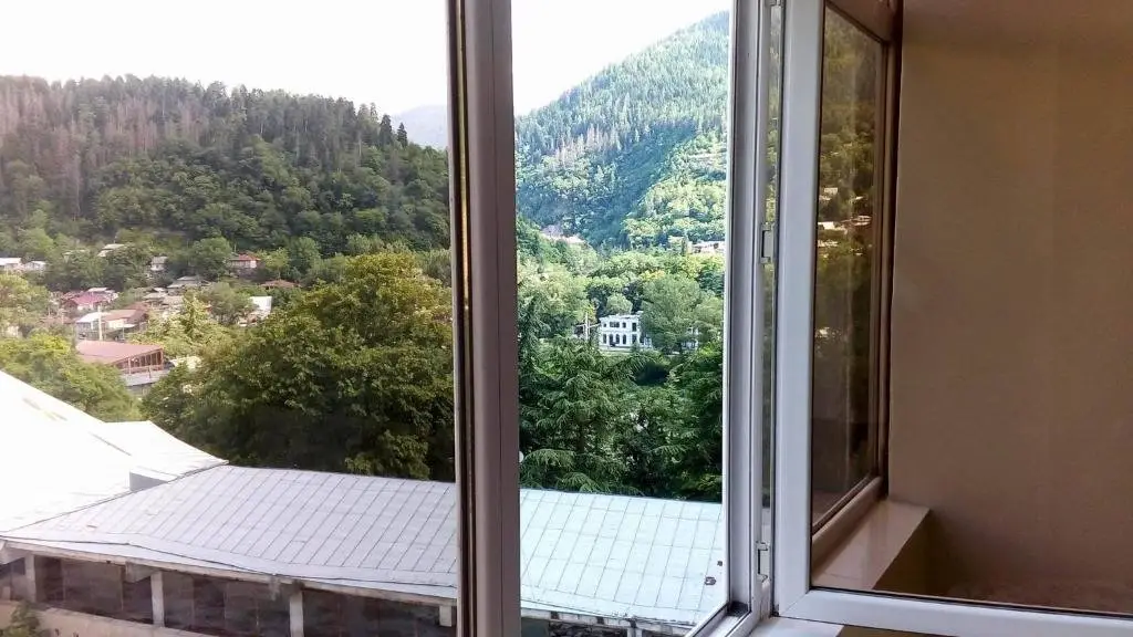 Боржоми: Borjomi Flat on Rustaveli Street