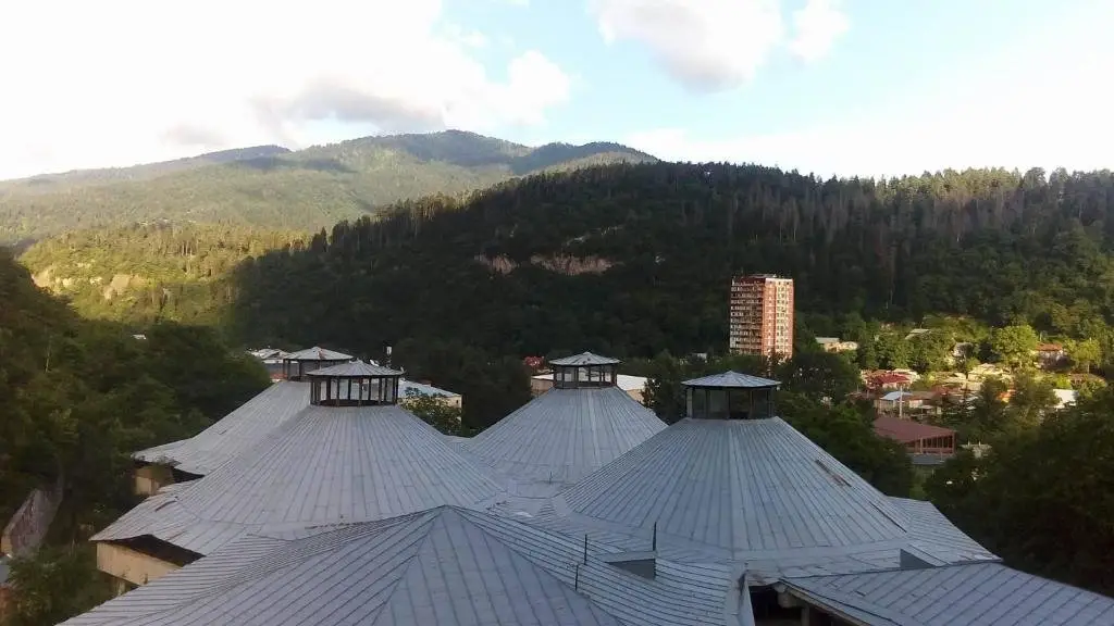 Боржоми: Borjomi Flat on Rustaveli Street