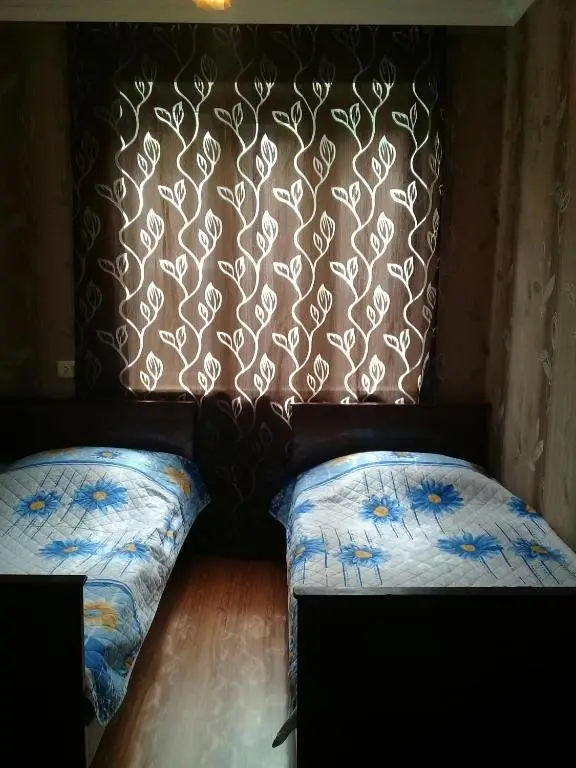 Боржоми: Luka's Apartment