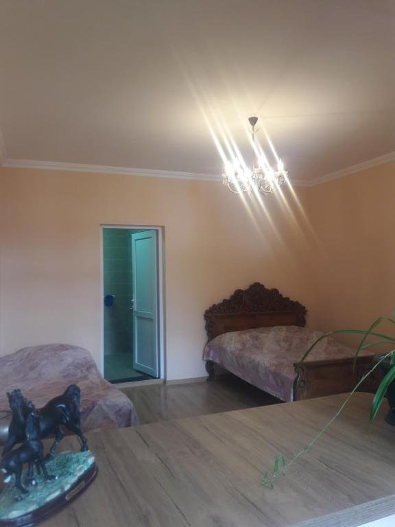 Боржоми: Guduna Guest House