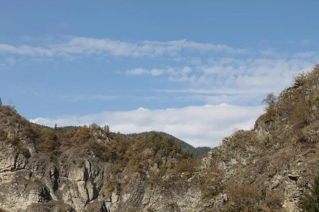 Боржоми: Tent for rent Borjomi