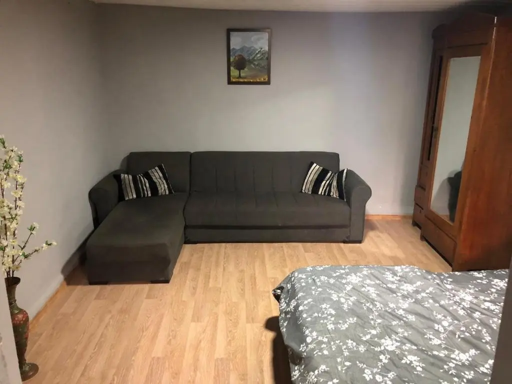 Боржоми: Otos apartment near Borjomi park