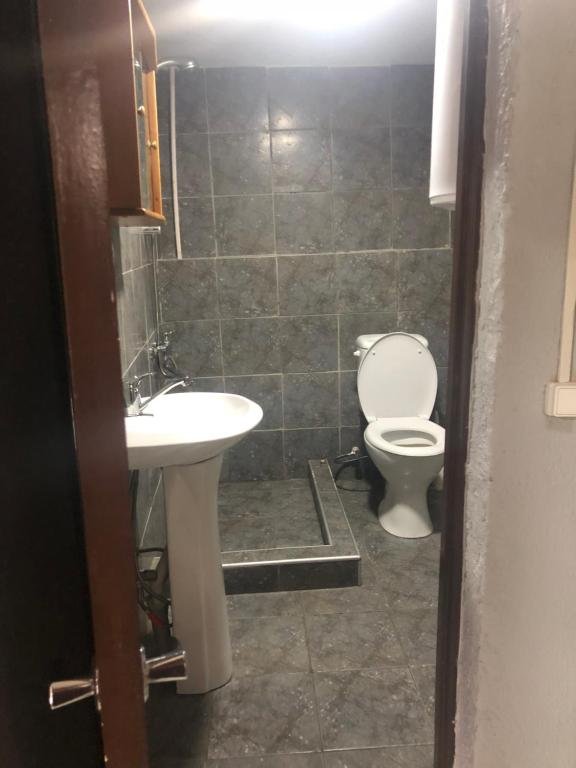 Боржоми: Otos apartment near Borjomi park
