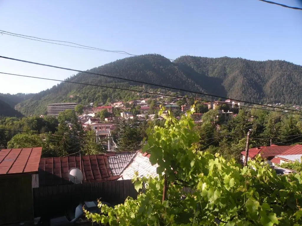 Боржоми: Otos apartment near Borjomi park