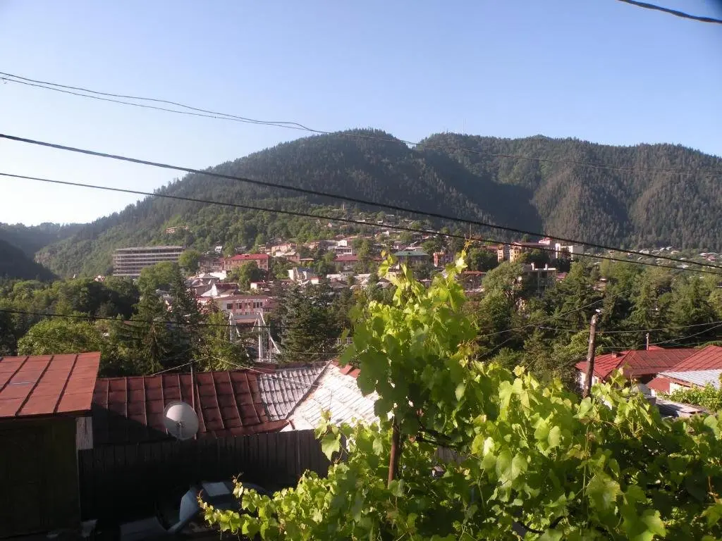 Боржоми: Otos apartment near Borjomi park