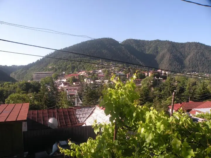 Боржоми: Otos apartment near Borjomi park
