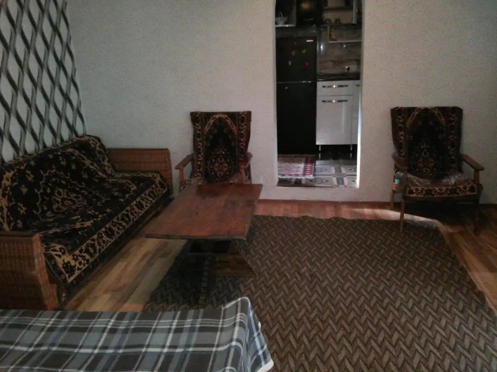 Боржоми: Nini's house