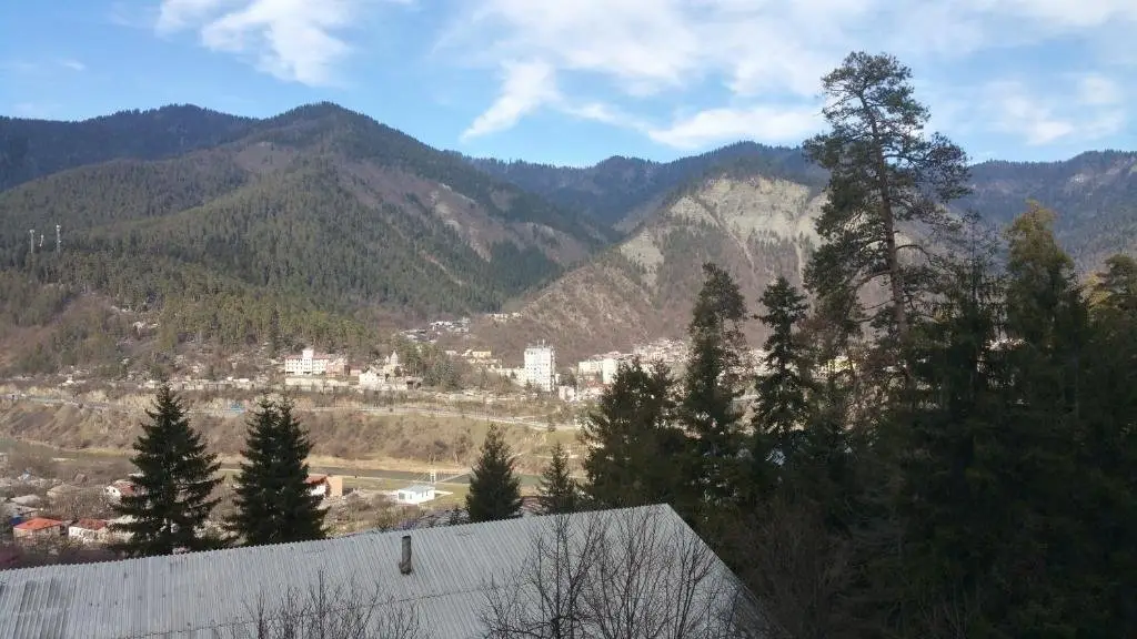 Боржоми: Mountain Flat, Great View