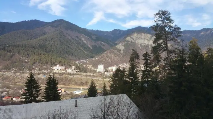 Боржоми: Mountain Flat, Great View