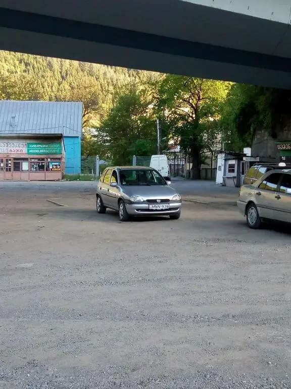 Боржоми: Guesthouse In The Downtown Borjomi