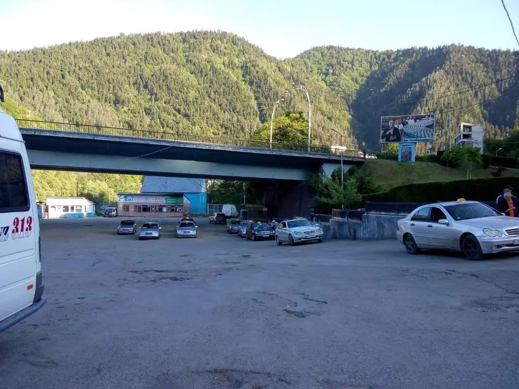 Боржоми: Guesthouse In The Downtown Borjomi