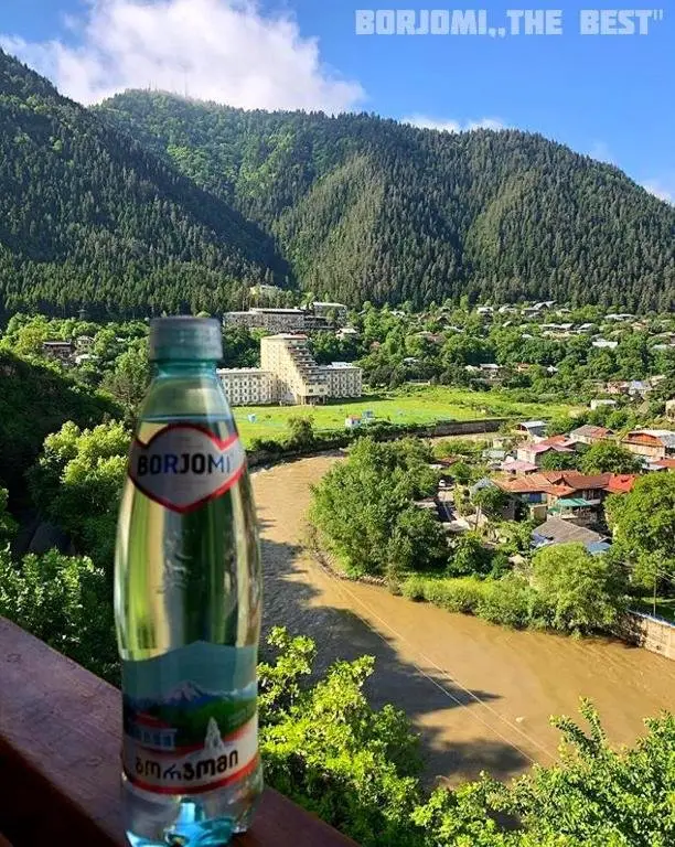 Боржоми: Guesthouse In The Downtown Borjomi
