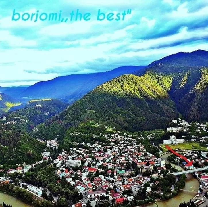 Боржоми: Guesthouse In The Downtown Borjomi