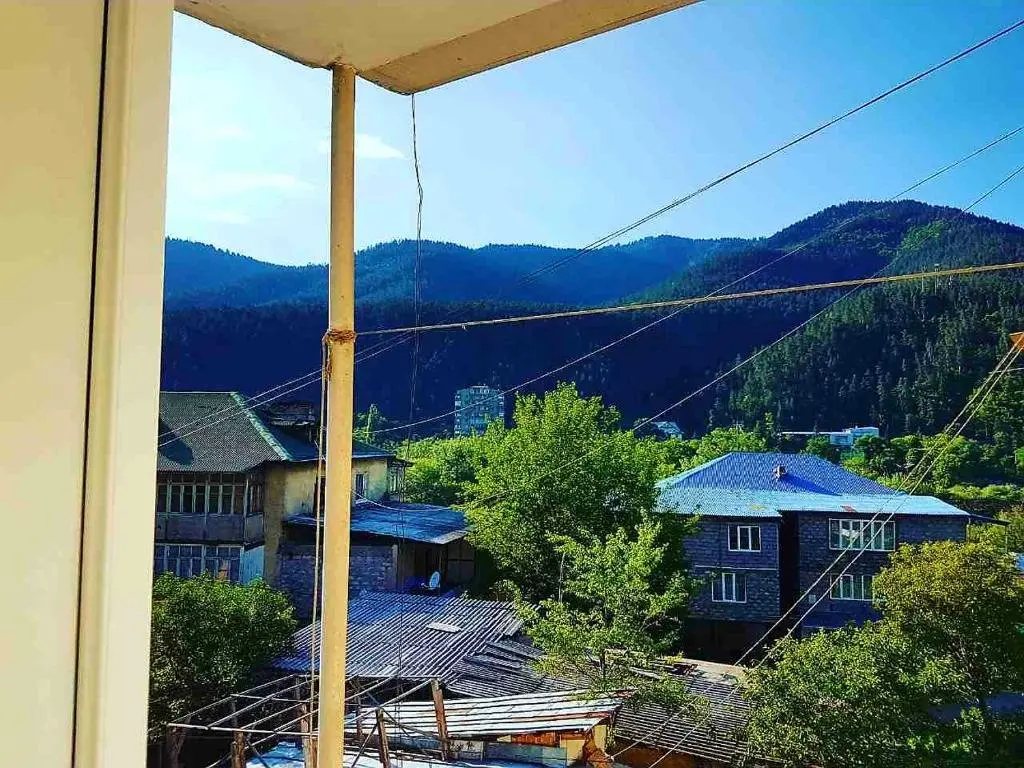 Боржоми: Mariana Apartment Borjomi