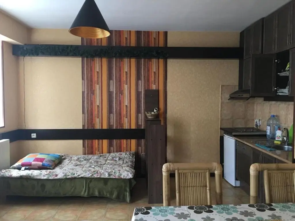 Гудаури: A flat in old Gudauri