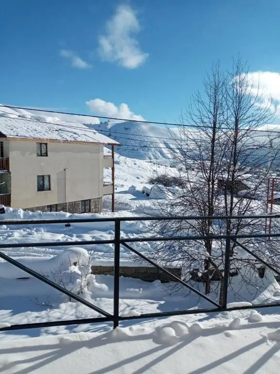 Гудаури: Gudauri House
