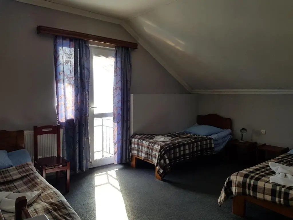 Гудаури: Hotel Shele