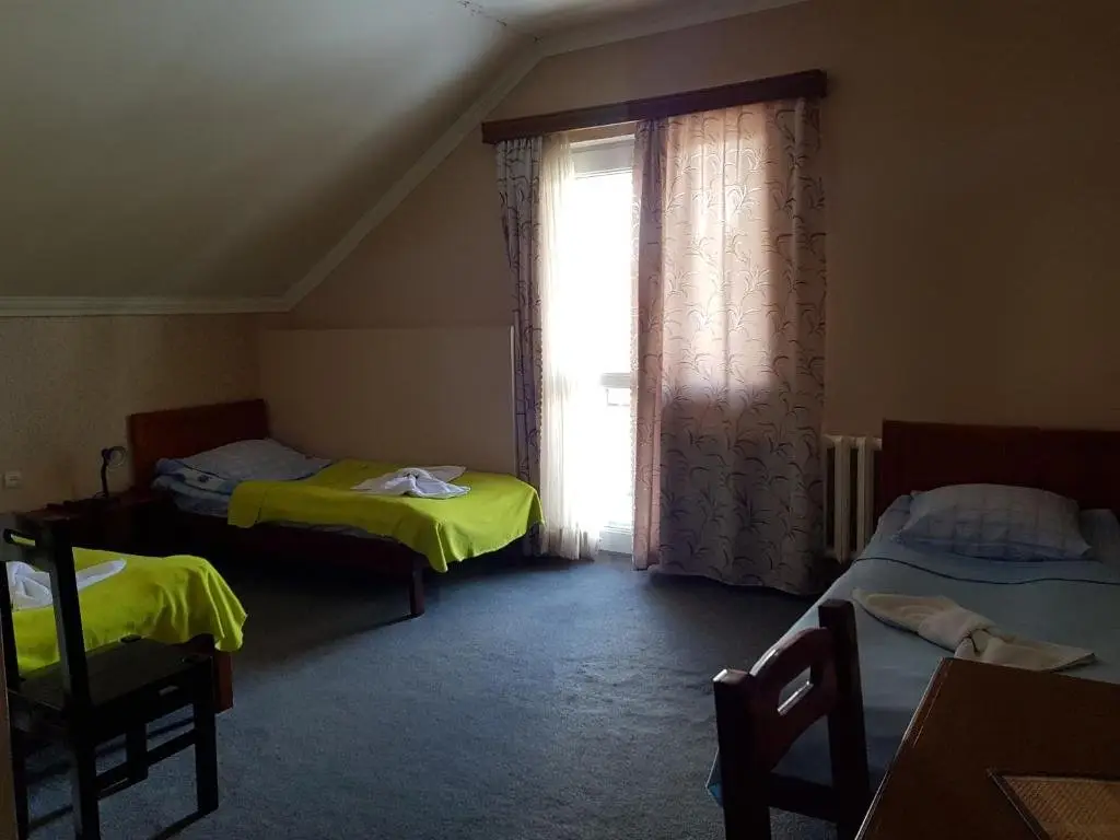 Гудаури: Hotel Shele