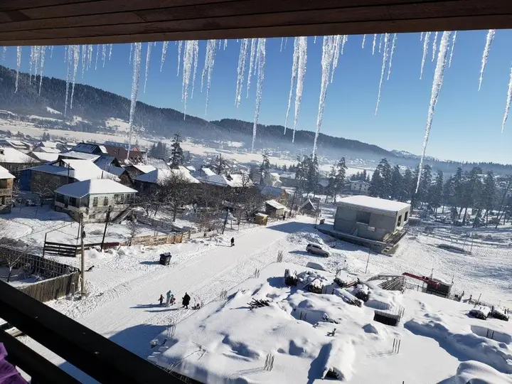 Бакуриани: Area Park Bakuriani EleGia