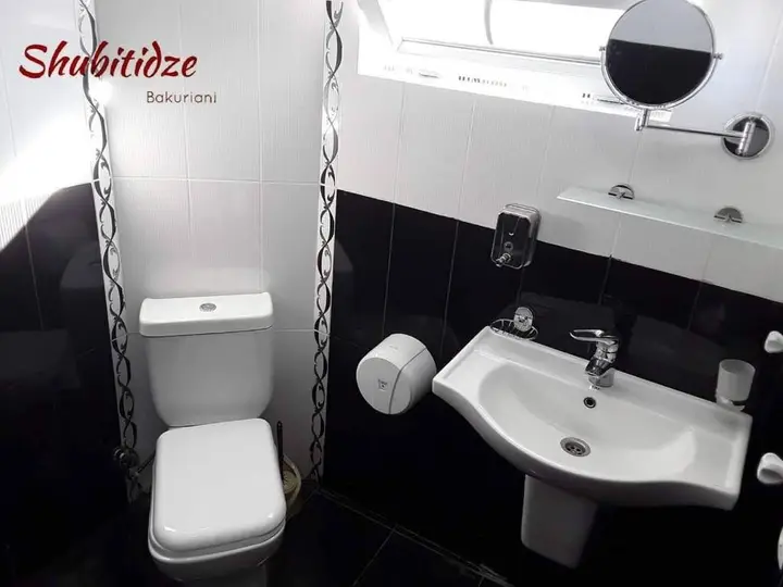 Бакуриани: Hotel Shubitidze