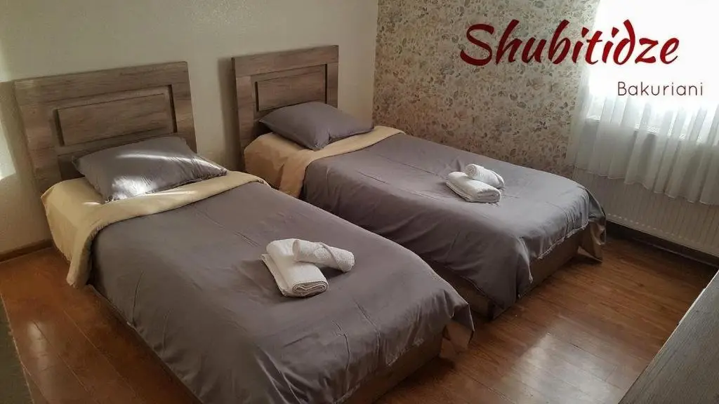Бакуриани: Hotel Shubitidze