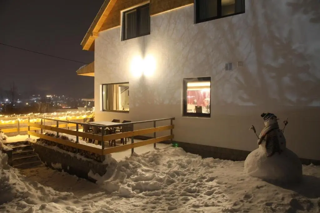 Бакуриани: Double House Bakuriani