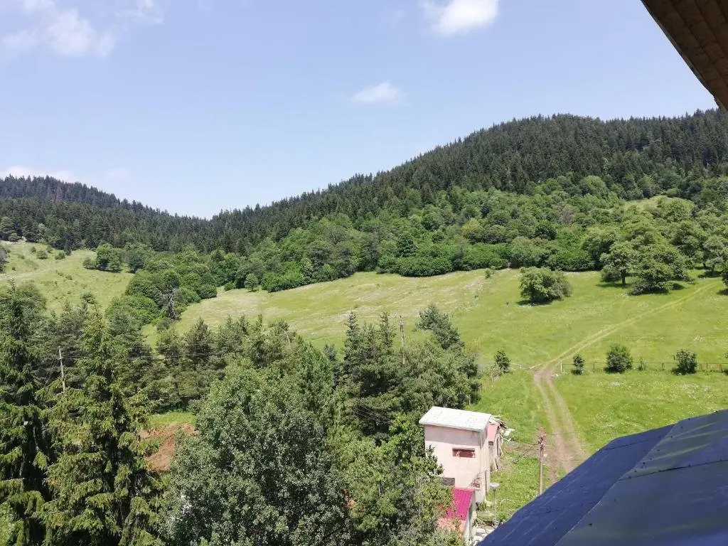 Бакуриани: Bakuriani Inn