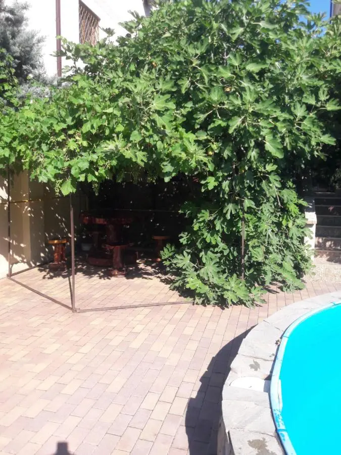 Геленджик: Angelina Guest House