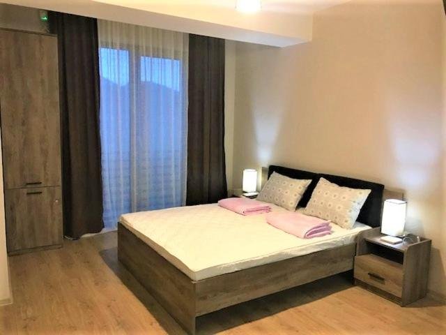 Бакуриани: Milov's apartment in Bakuriani Plaza