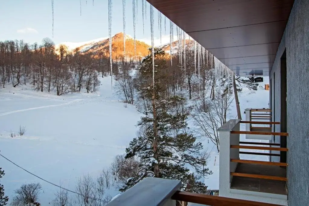 Бакуриани: Orbi Palace ApartHotel