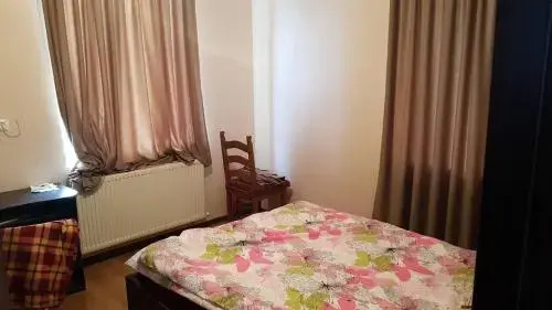 Бакурианский Андезит: Cottage In Bakuriani