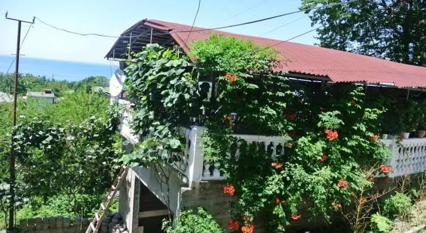Батуми: Hotel Badu