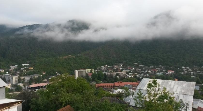 Боржоми: Villa "Borjomi"