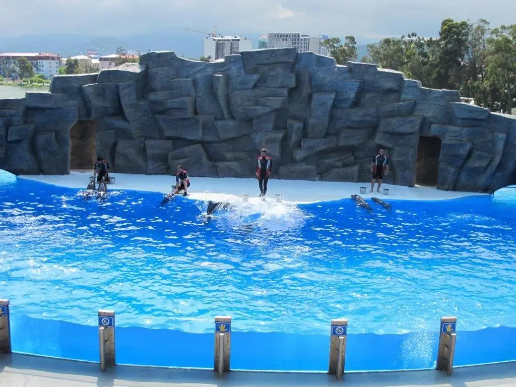 Батуми: Apartment Orbi Sea Tower David