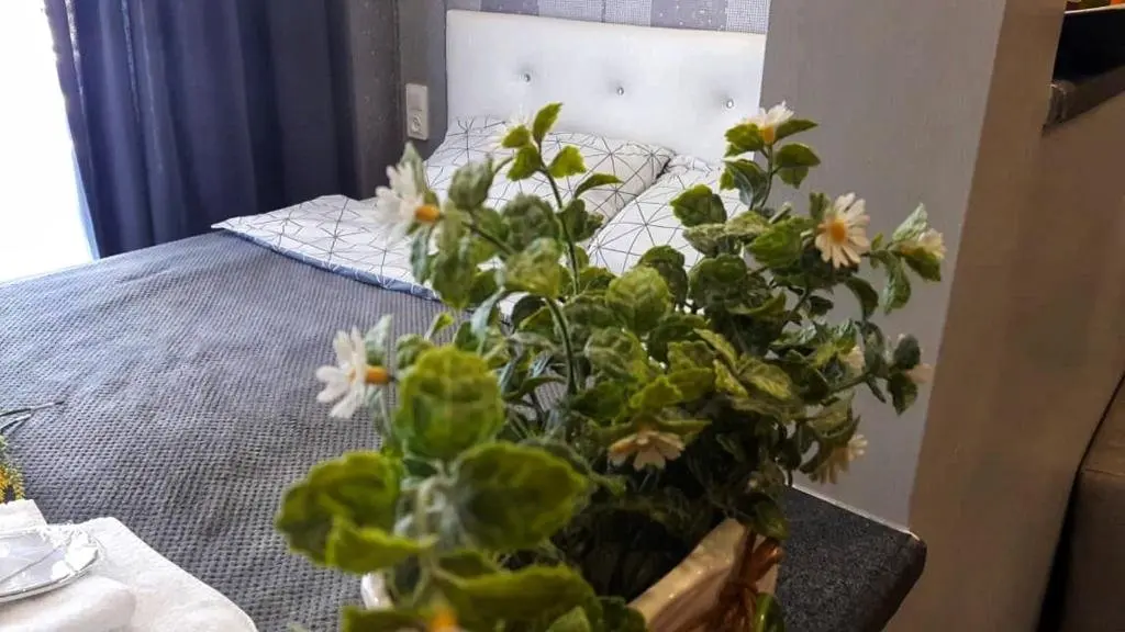 Батуми: Real Palace Cozy Apartment