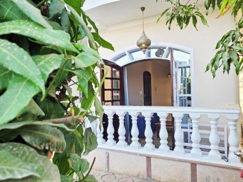 Луксор: IN LUXOR Nile Apartments