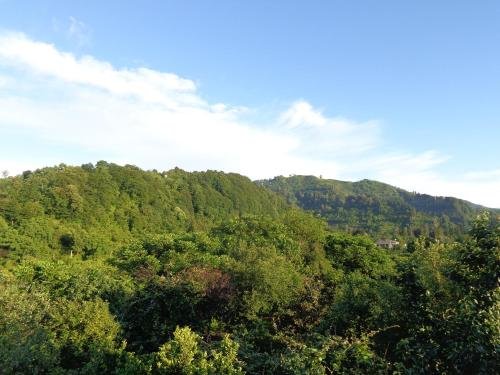 Батуми: Guest House Avgia