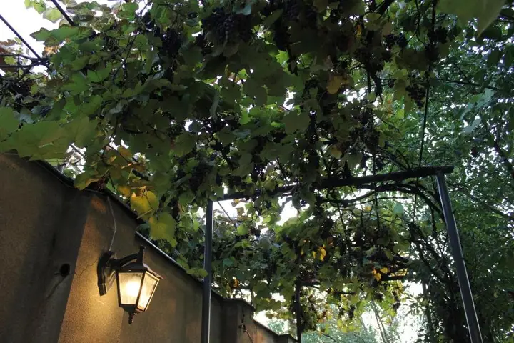 Тбилиси: House with private garden