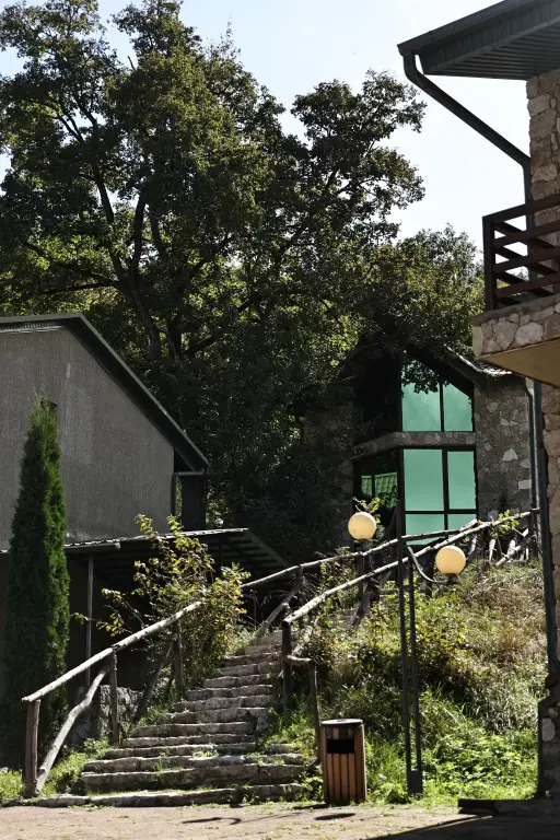 Курортный отель Dilijan Park Resort and Villas — фото 1