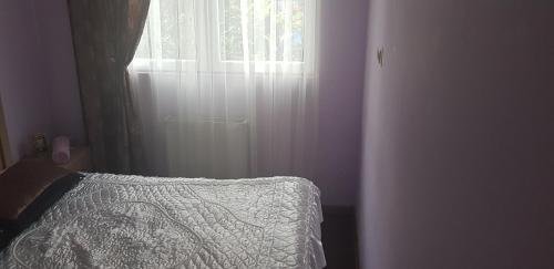 Батуми: 98 Vakhtang Gorgasali Street