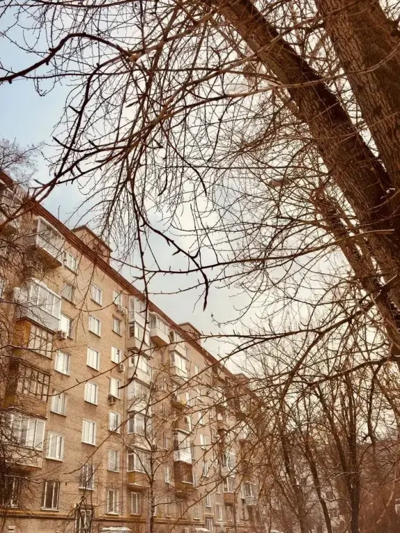 Москва: V Khamovnikah Pafos Apartment